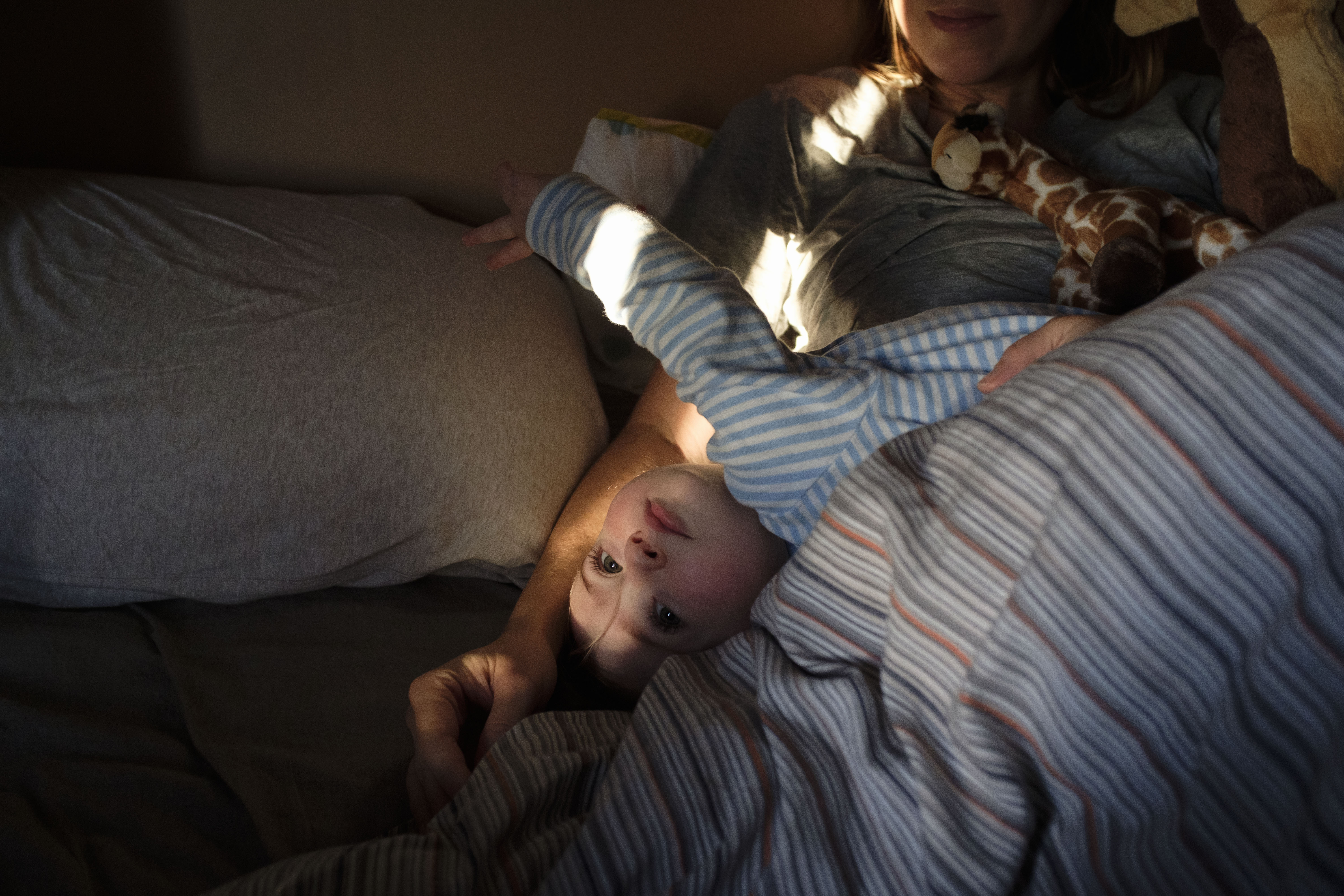 Découvrez comment célébrer les petites joies et réussites quotidiennes pour améliorer votre bien-être et épanouissement personnel.